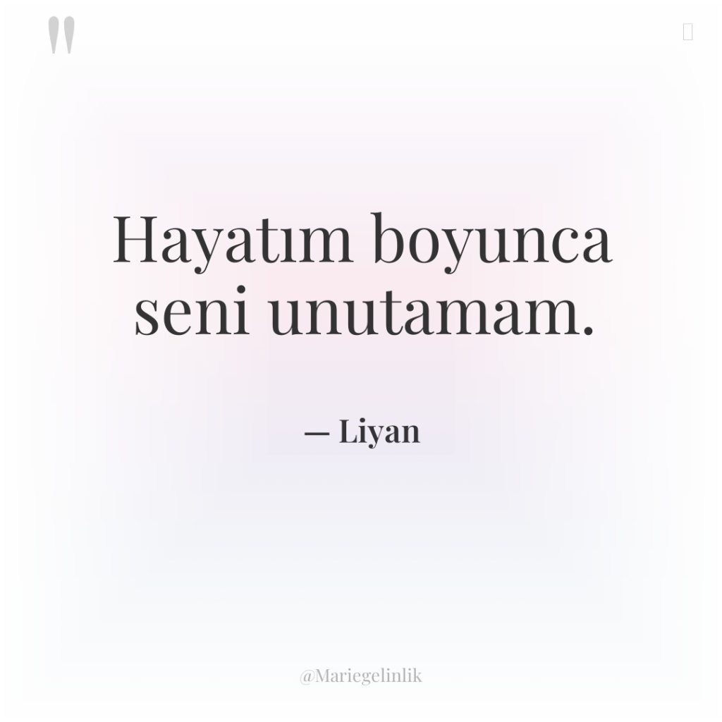 Hayatım boyunca seni unutamam.