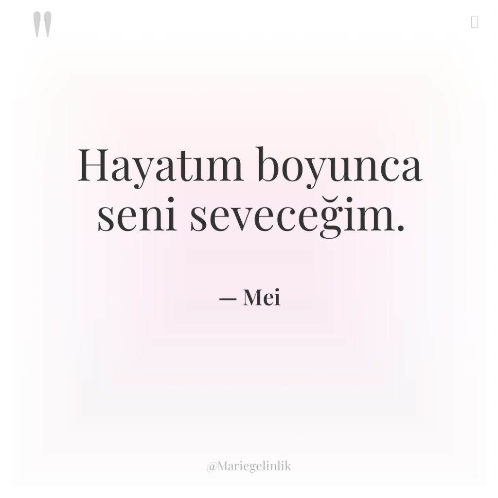 Hayatım boyunca seni seveceğim.