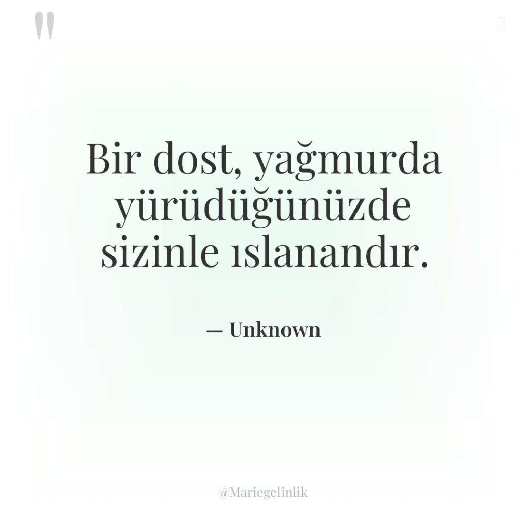 Bir dost, yağmurda yürüdüğünüzde sizinle ıslanandır.