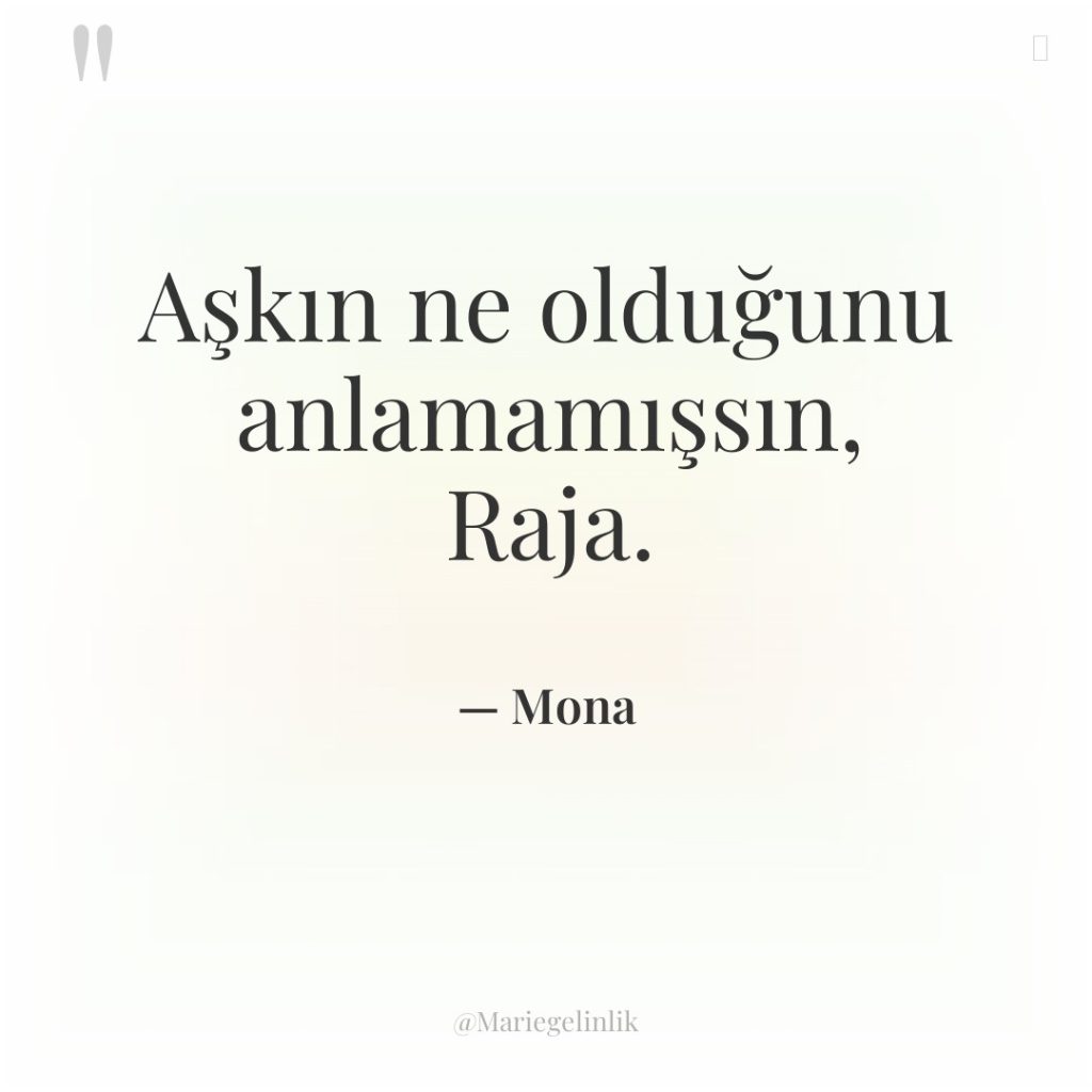 Aşkın ne olduğunu anlamamışsın, Raja.