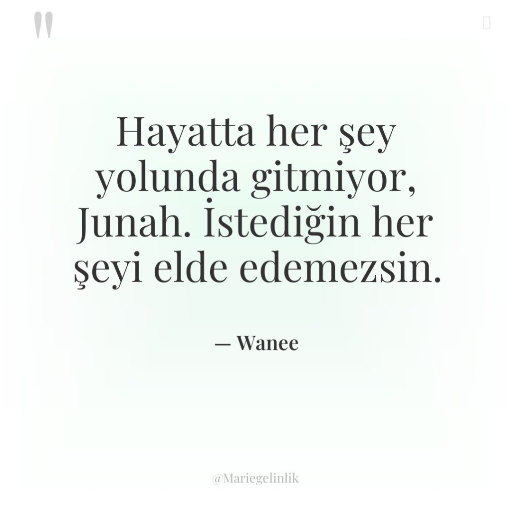 Hayatta her şey yolunda gitmiyor, Junah. İstediğin her şeyi elde…