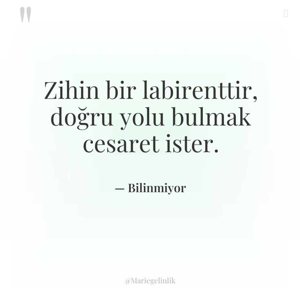 Zihin bir labirenttir, doğru yolu bulmak cesaret ister.