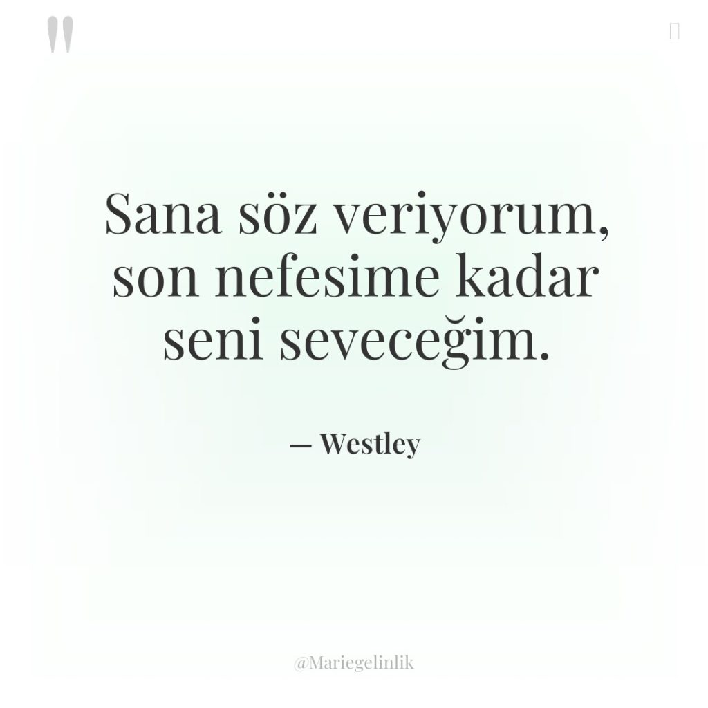 Sana söz veriyorum, son nefesime kadar seni seveceğim.