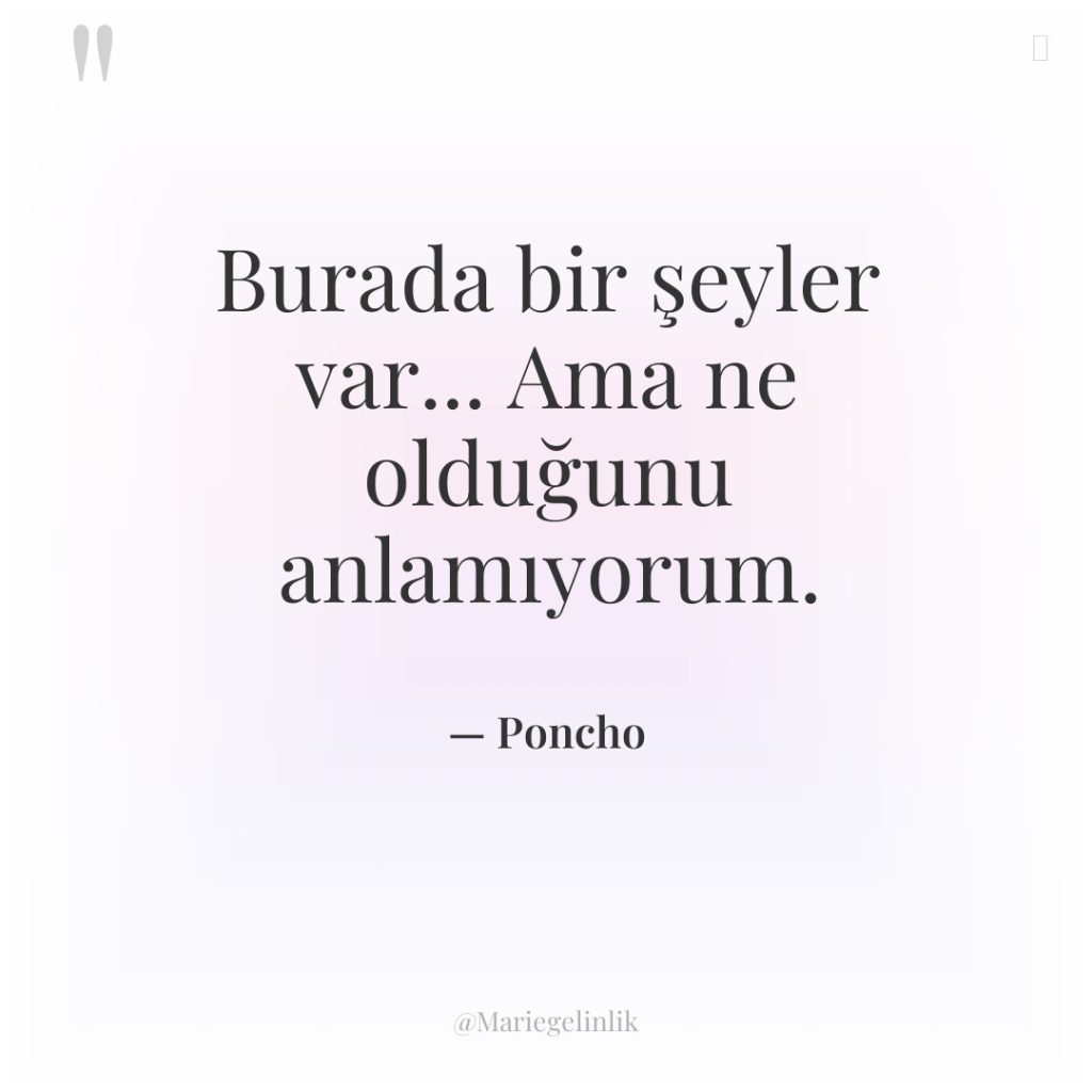 Burada bir şeyler var… Ama ne olduğunu anlamıyorum.