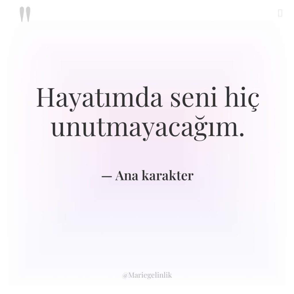 Hayatımda seni hiç unutmayacağım.