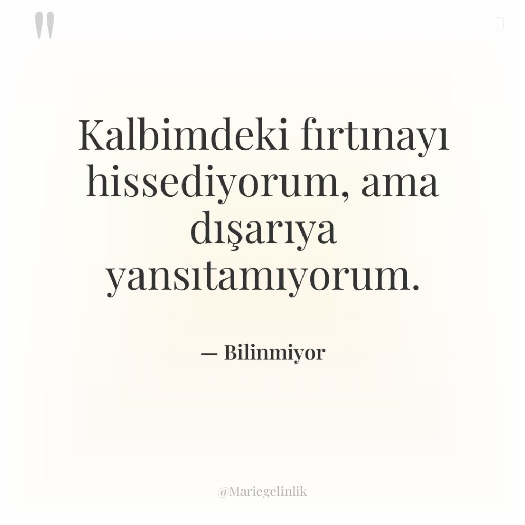 Kalbimdeki fırtınayı hissediyorum, ama dışarıya yansıtamıyorum.