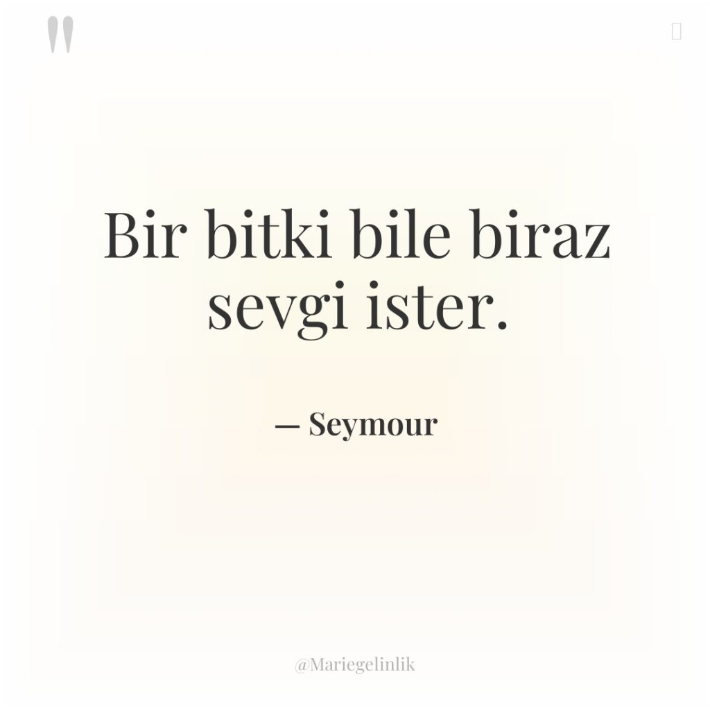 Bir bitki bile biraz sevgi ister.