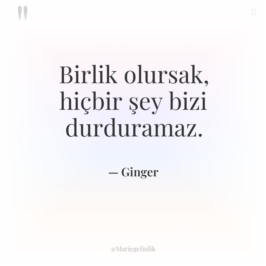 Birlik olursak, hiçbir şey bizi durduramaz.