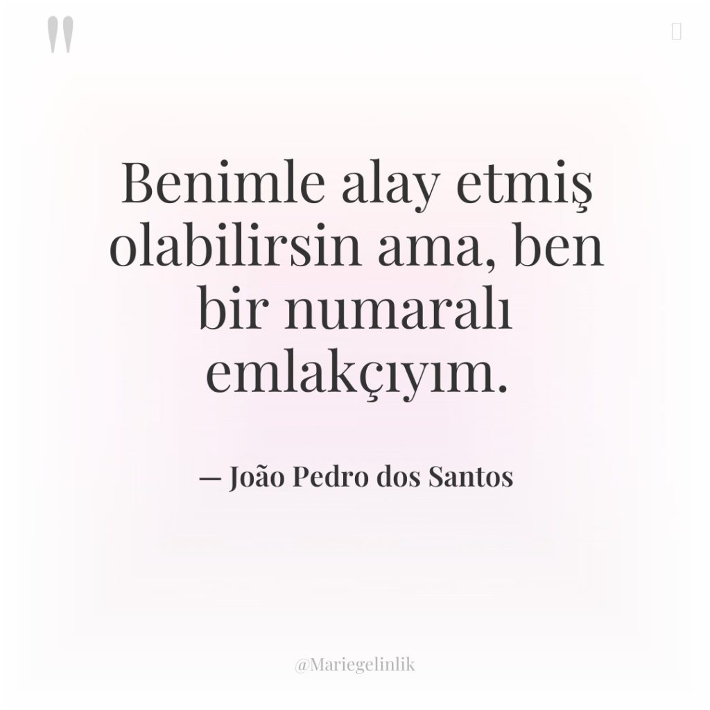 Benimle alay etmiş olabilirsin ama, ben bir numaralı emlakçıyım.