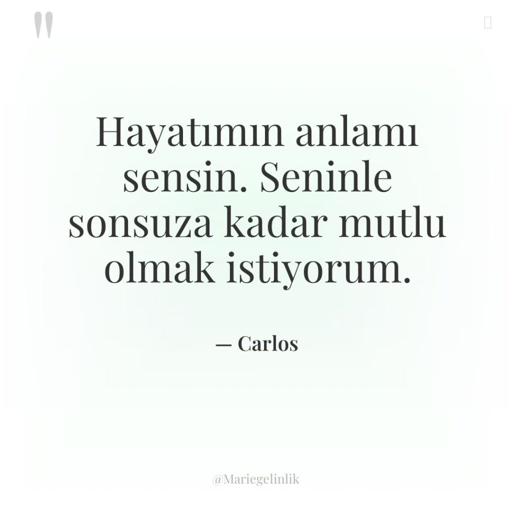 Hayatımın anlamı sensin. Seninle sonsuza kadar mutlu olmak istiyorum.