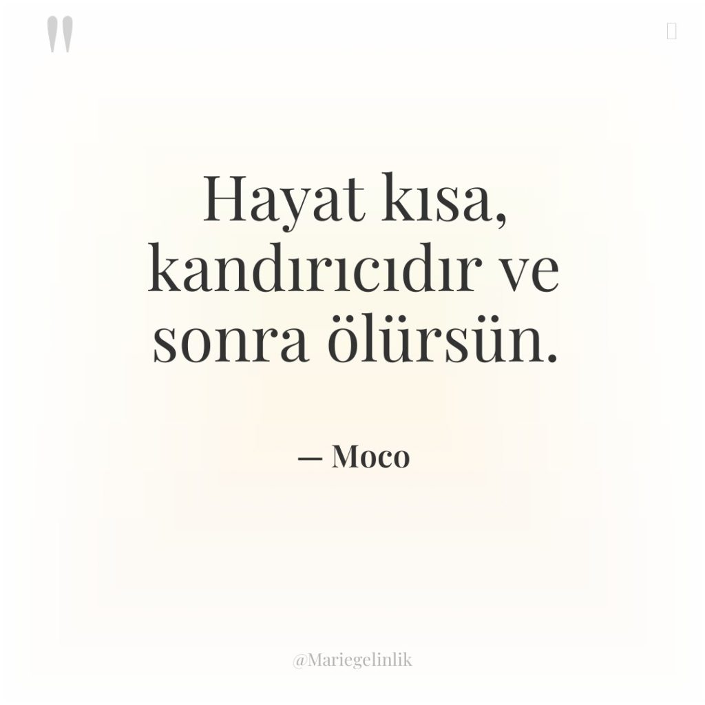 Hayat kısa, kandırıcıdır ve sonra ölürsün.