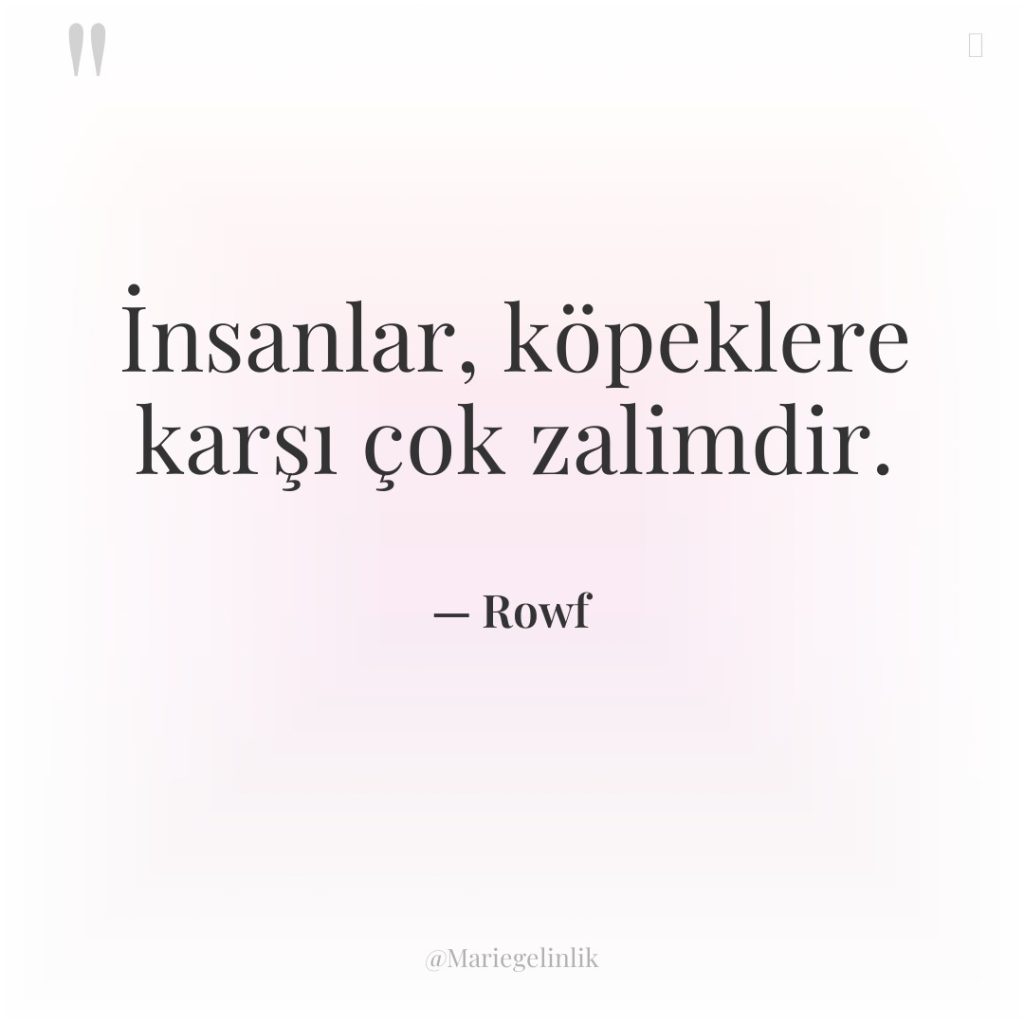 İnsanlar, köpeklere karşı çok zalimdir.