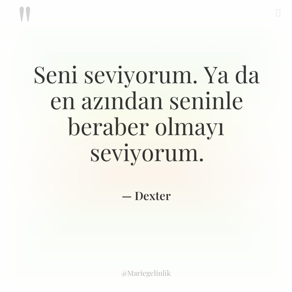 Seni seviyorum. Ya da en azından seninle beraber olmayı seviyorum.