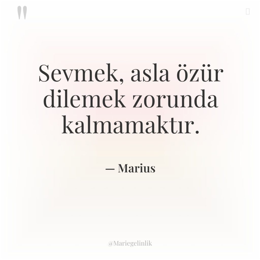 Sevmek, asla özür dilemek zorunda kalmamaktır.