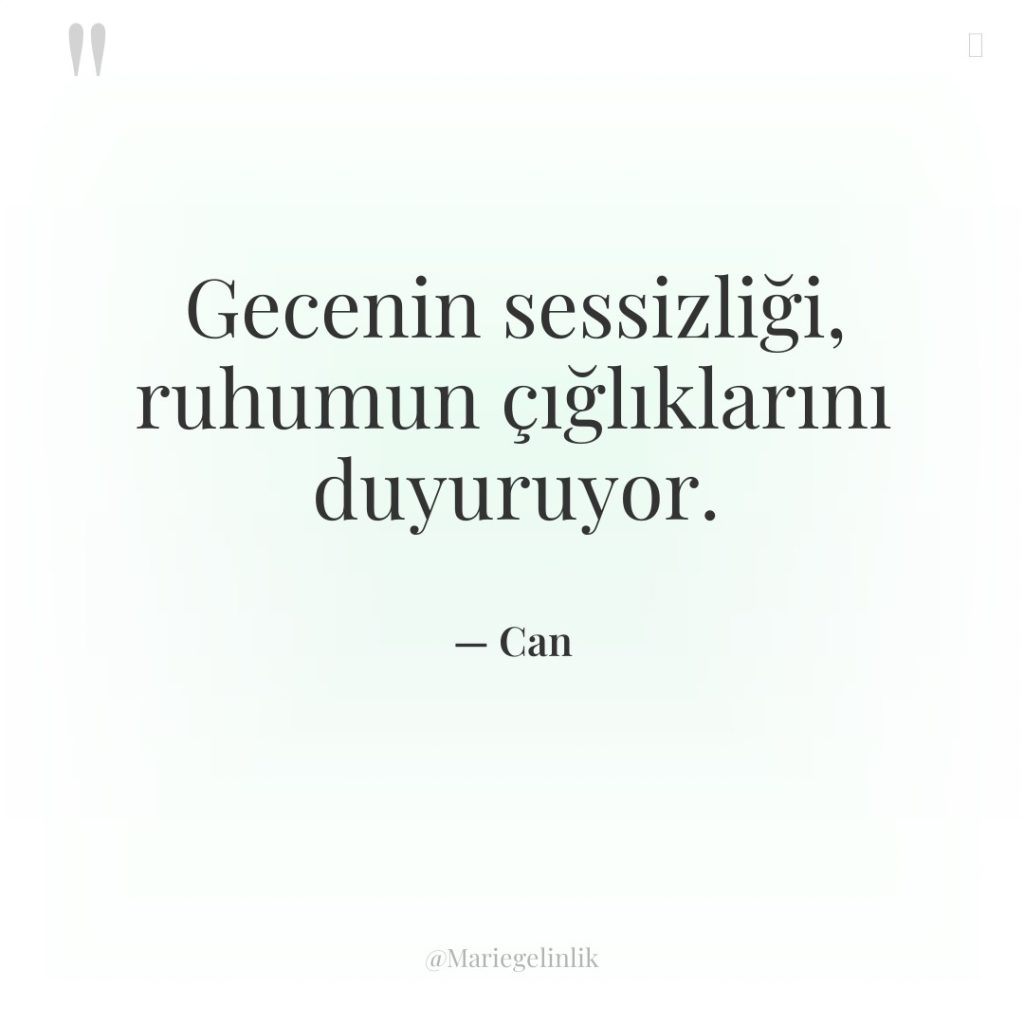 Gecenin sessizliği, ruhumun çığlıklarını duyuruyor.