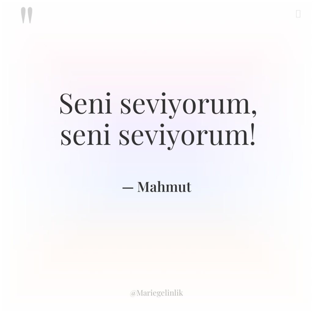 Seni seviyorum, seni seviyorum!