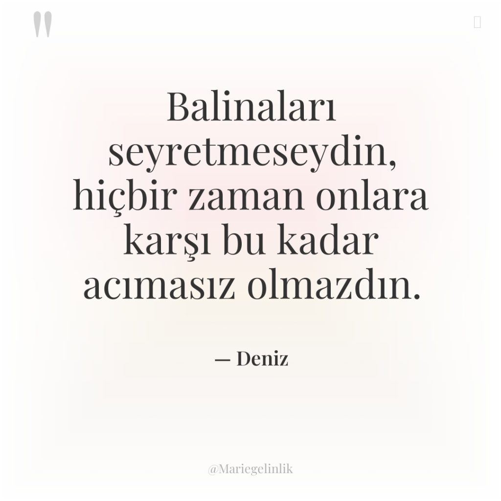 Balinaları seyretmeseydin, hiçbir zaman onlara karşı bu kadar acımasız olmazdın.