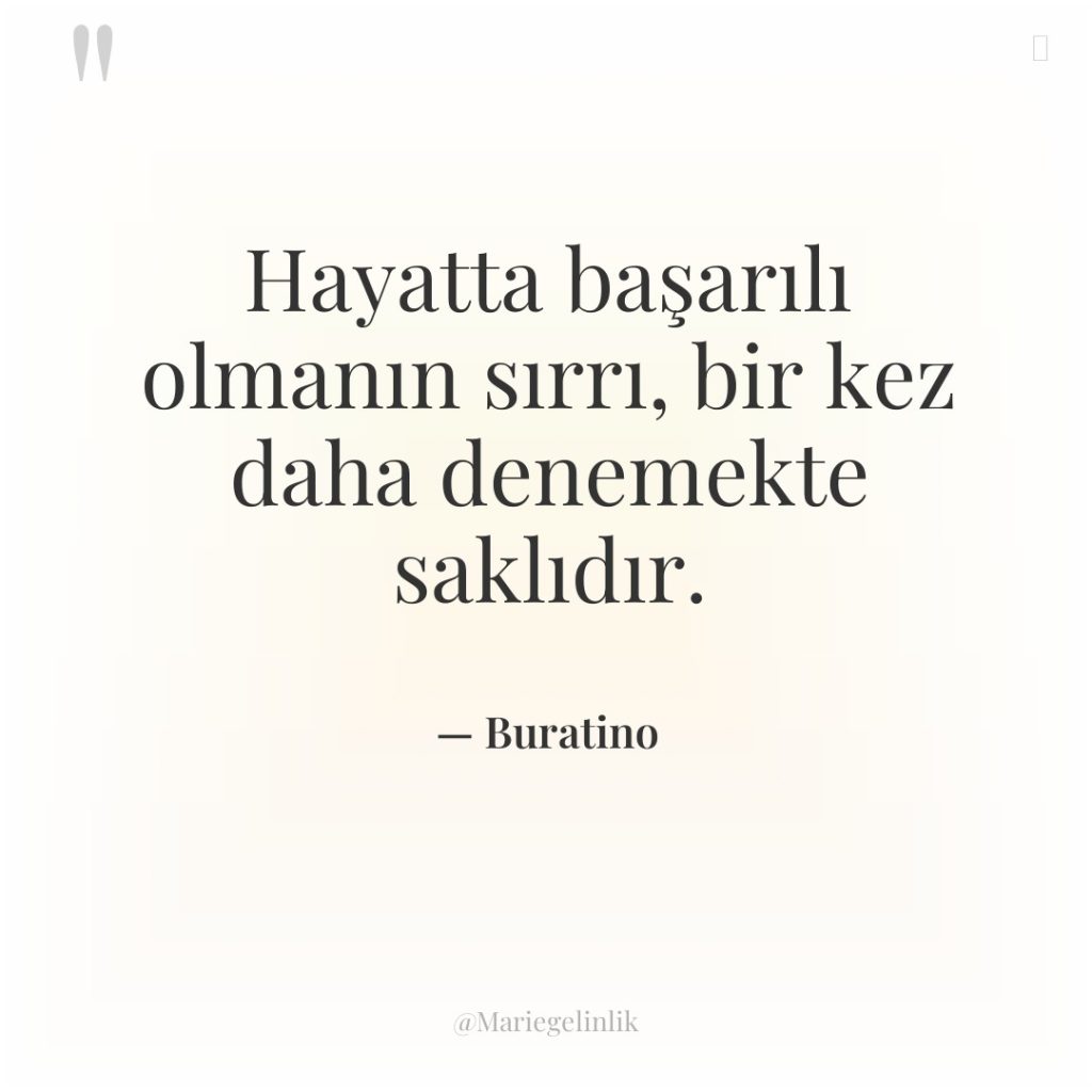 Hayatta başarılı olmanın sırrı, bir kez daha denemekte saklıdır.