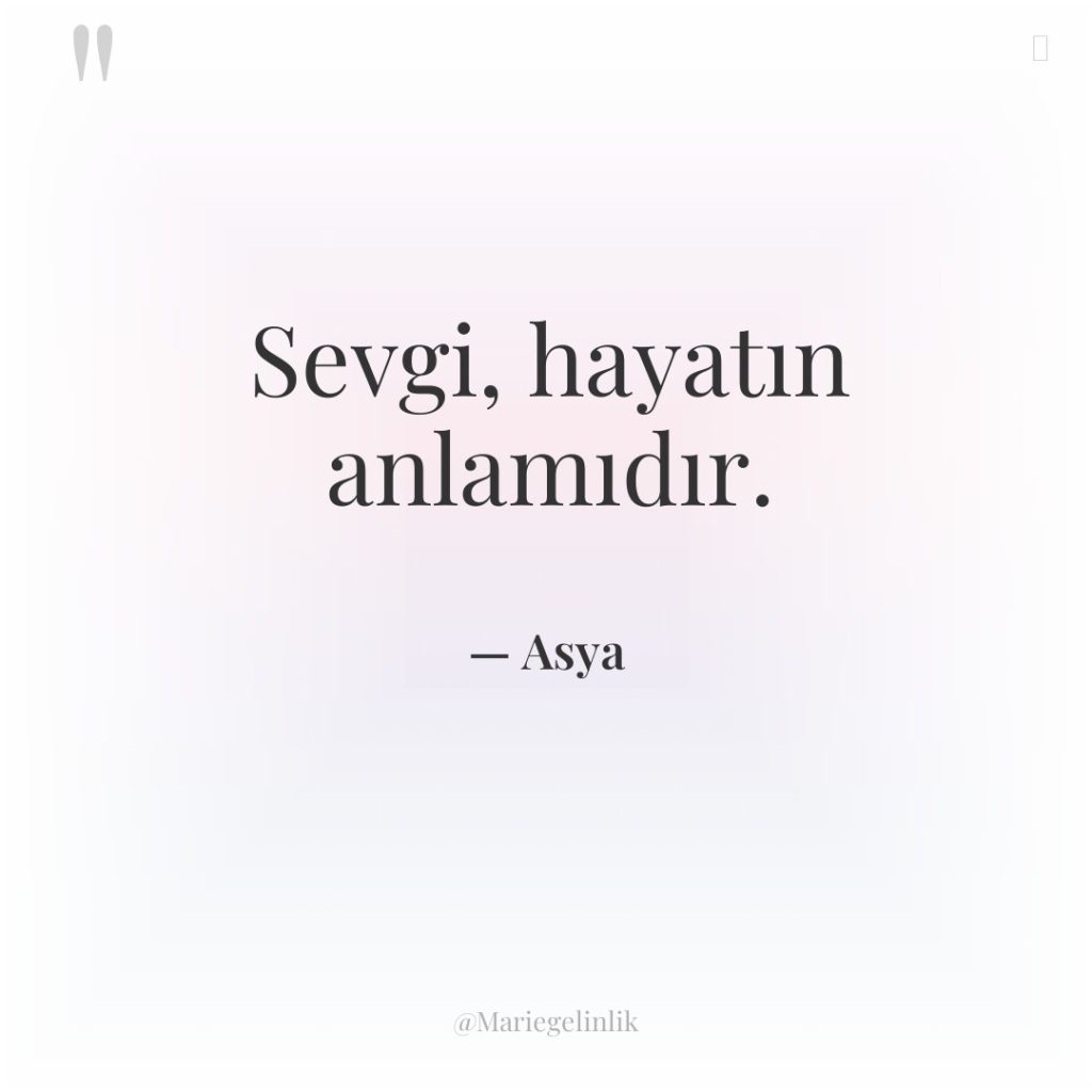 Sevgi, hayatın anlamıdır.
