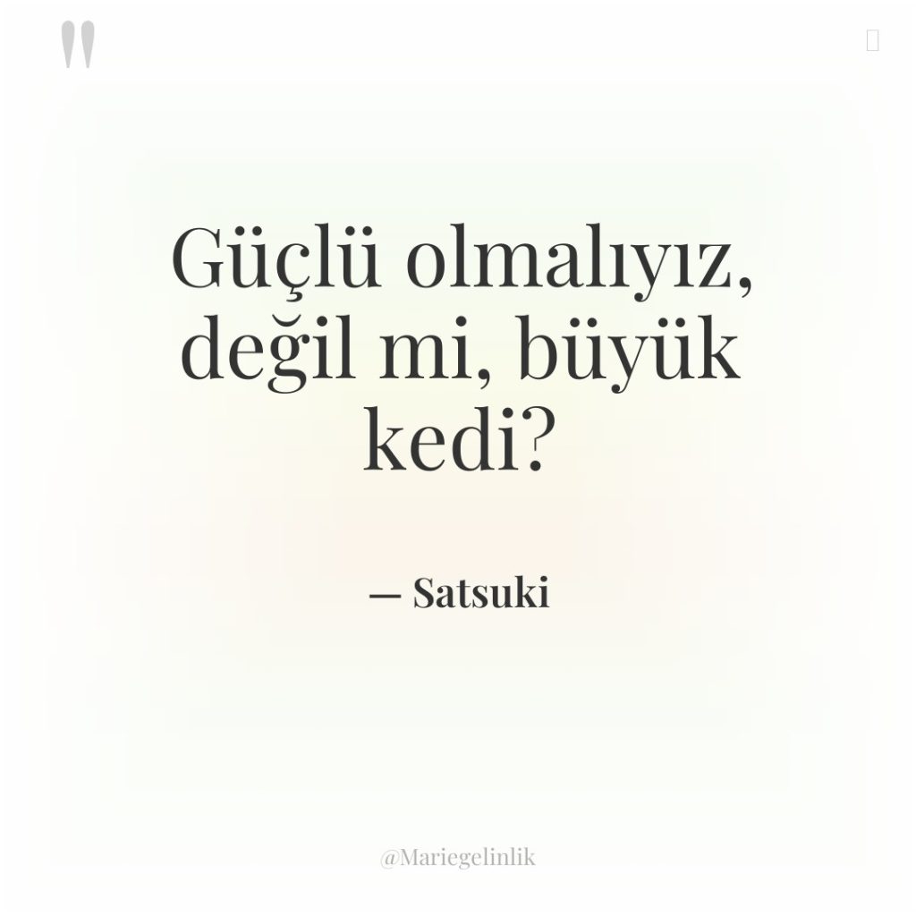 Güçlü olmalıyız, değil mi, büyük kedi?