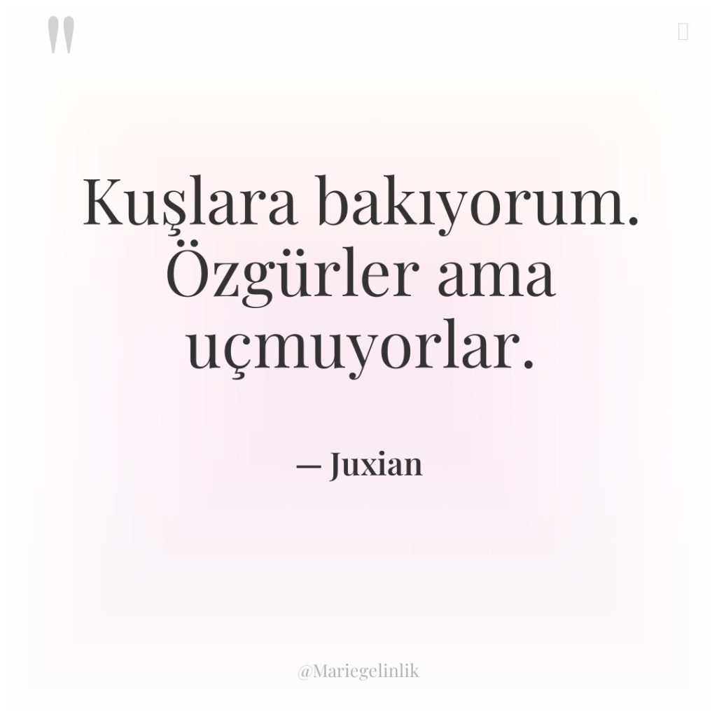 Kuşlara bakıyorum. Özgürler ama uçmuyorlar.