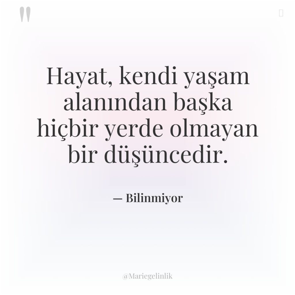 Hayat, kendi yaşam alanından başka hiçbir yerde olmayan bir düşüncedir.