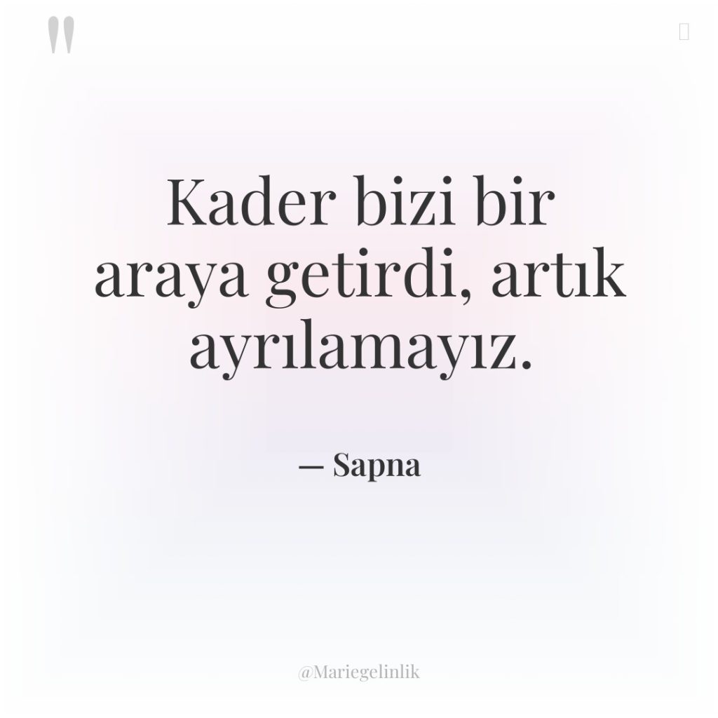 Kader bizi bir araya getirdi, artık ayrılamayız.