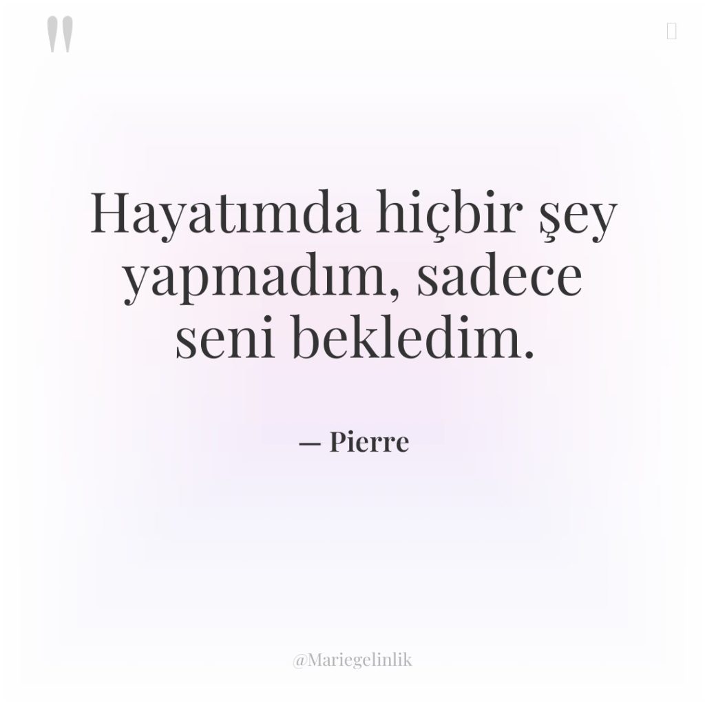 Hayatımda hiçbir şey yapmadım, sadece seni bekledim.