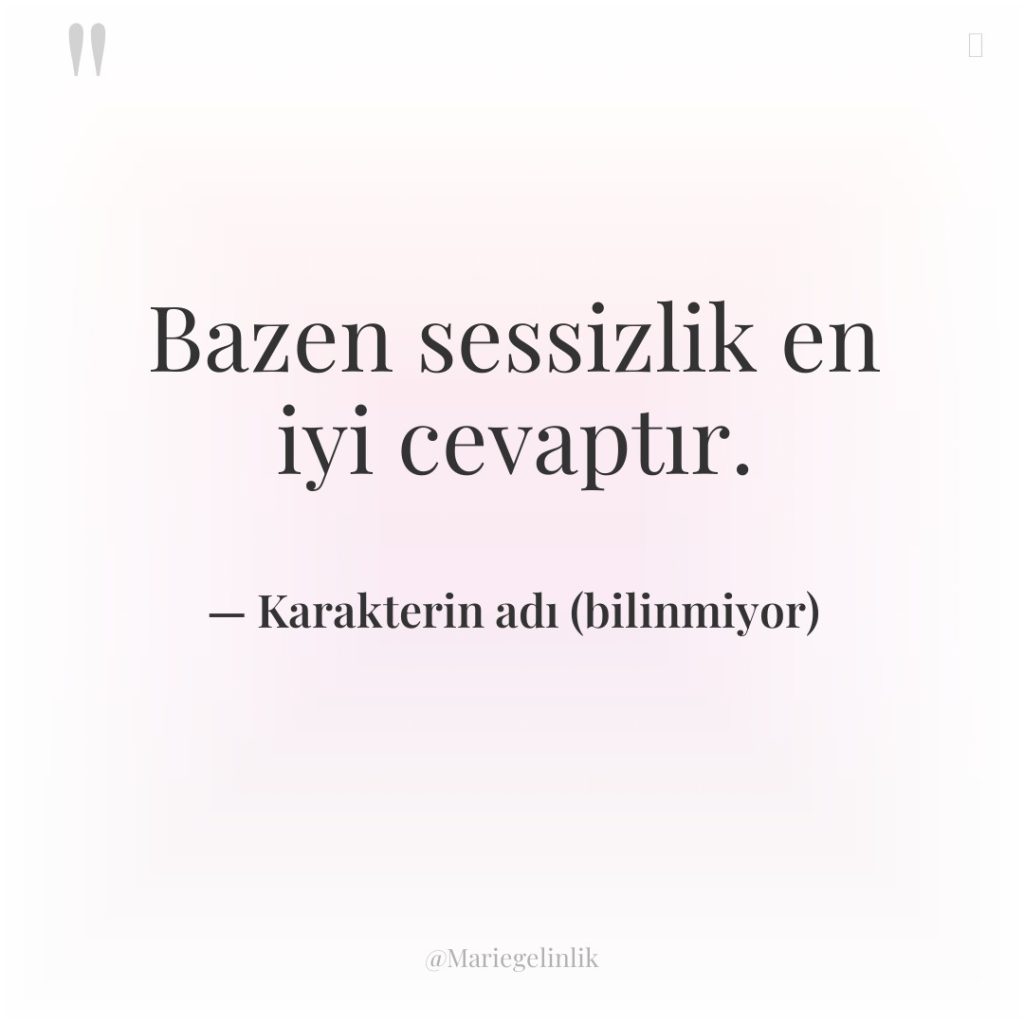 Bazen sessizlik en iyi cevaptır.