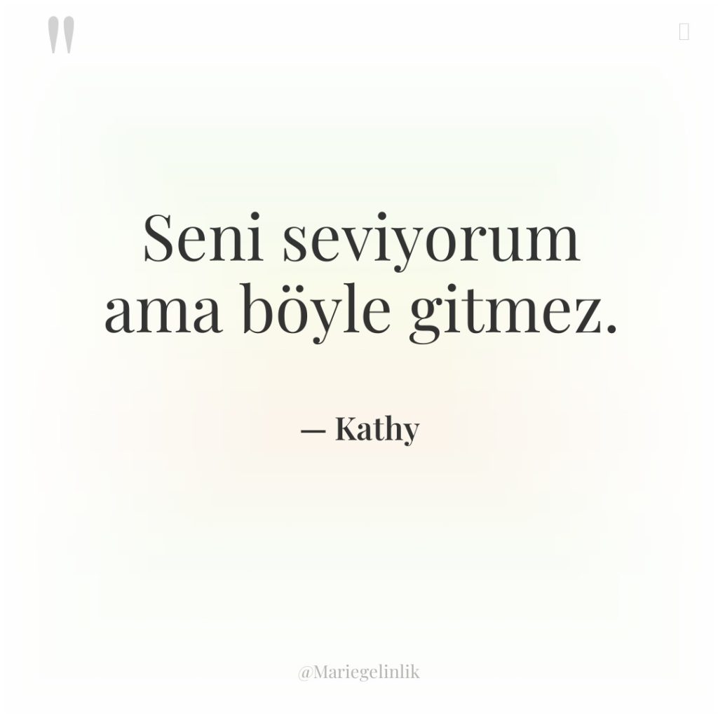 Seni seviyorum ama böyle gitmez.