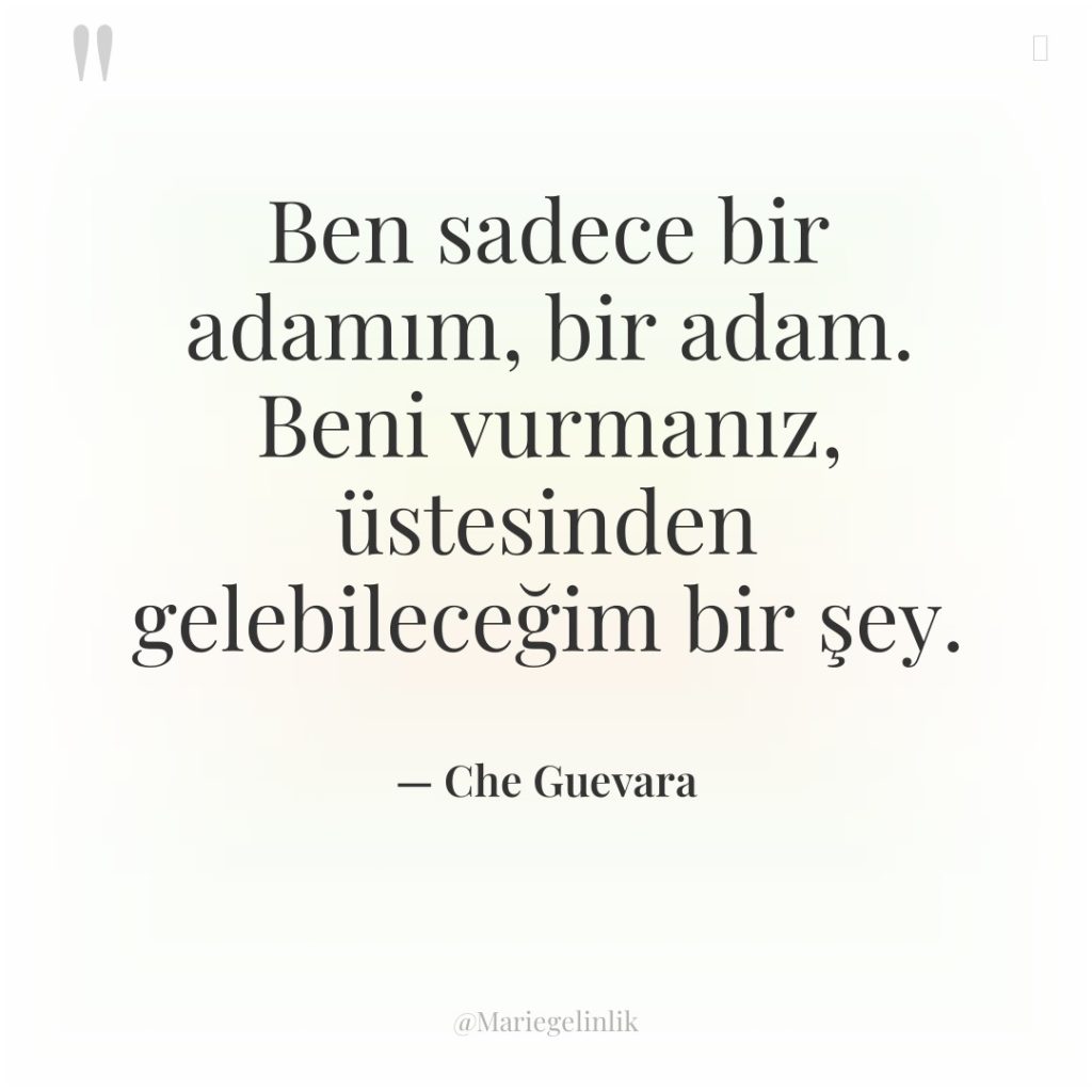 Ben sadece bir adamım, bir adam. Beni vurmanız, üstesinden gelebileceğim…