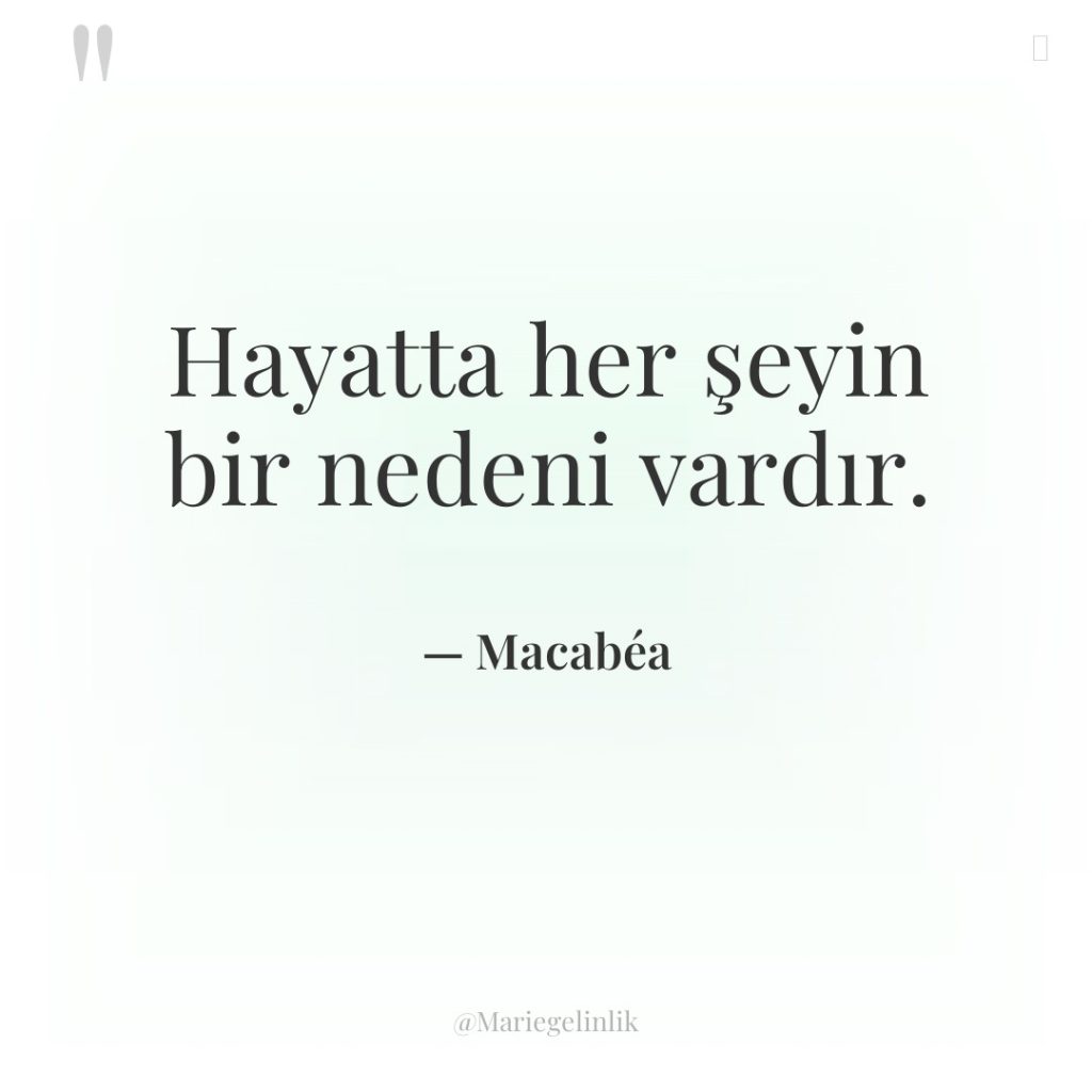 Hayatta her şeyin bir nedeni vardır.