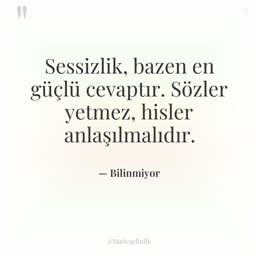 Sessizlik, bazen en güçlü cevaptır. Sözler yetmez, hisler anlaşılmalıdır.