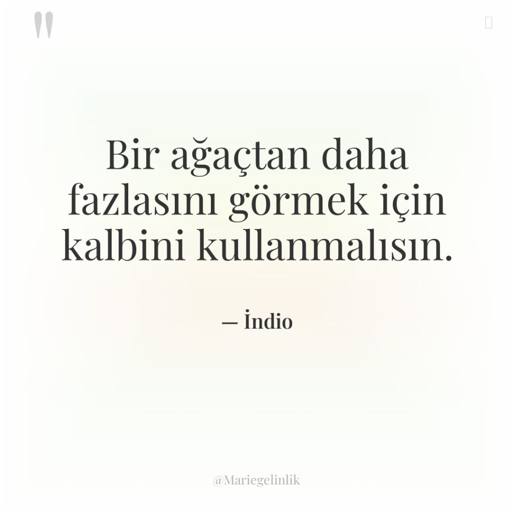 Bir ağaçtan daha fazlasını görmek için kalbini kullanmalısın.