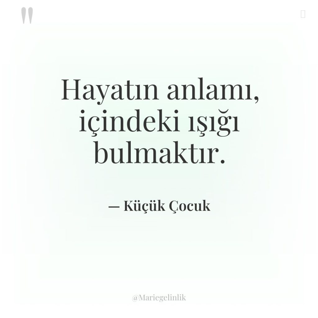 Hayatın anlamı, içindeki ışığı bulmaktır.