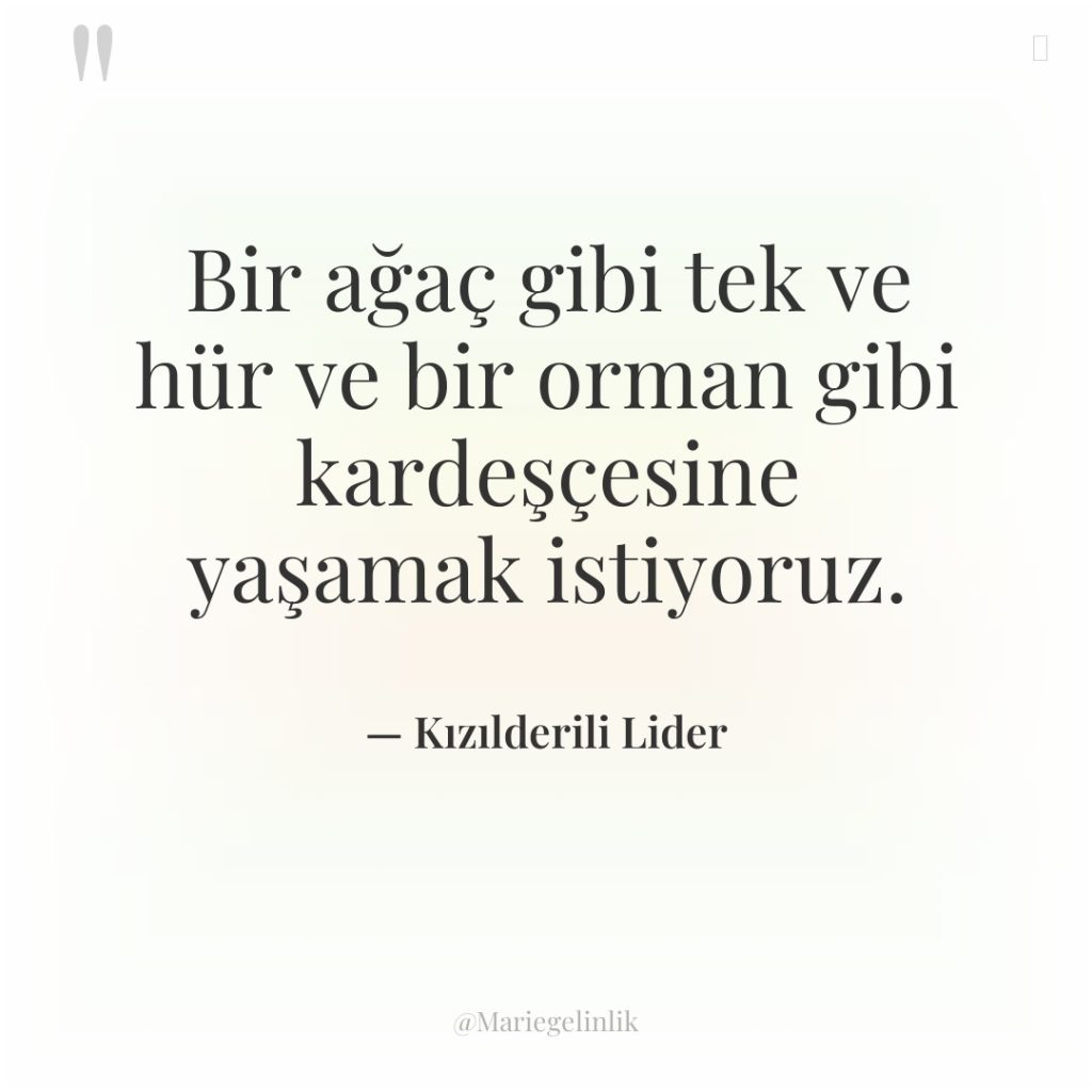 Bir ağaç gibi tek ve hür ve bir orman gibi…