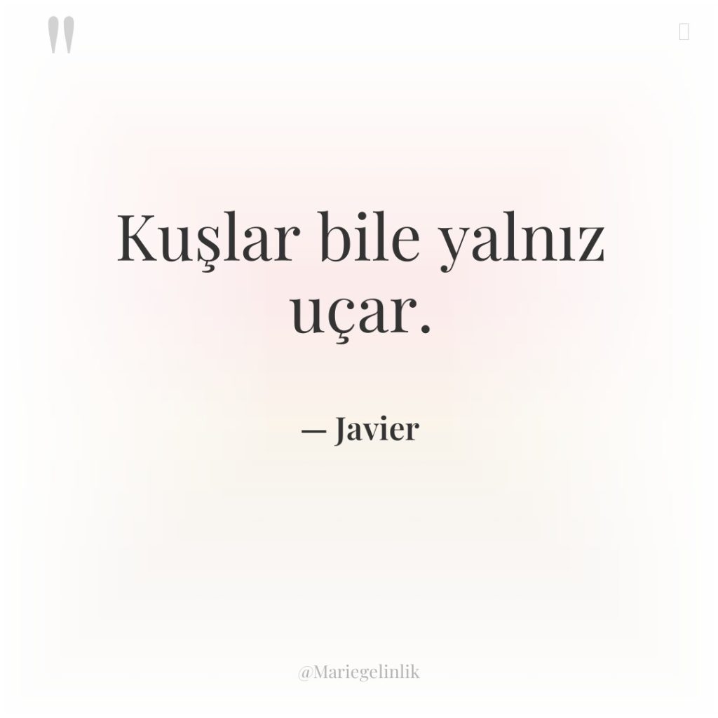 Kuşlar bile yalnız uçar.