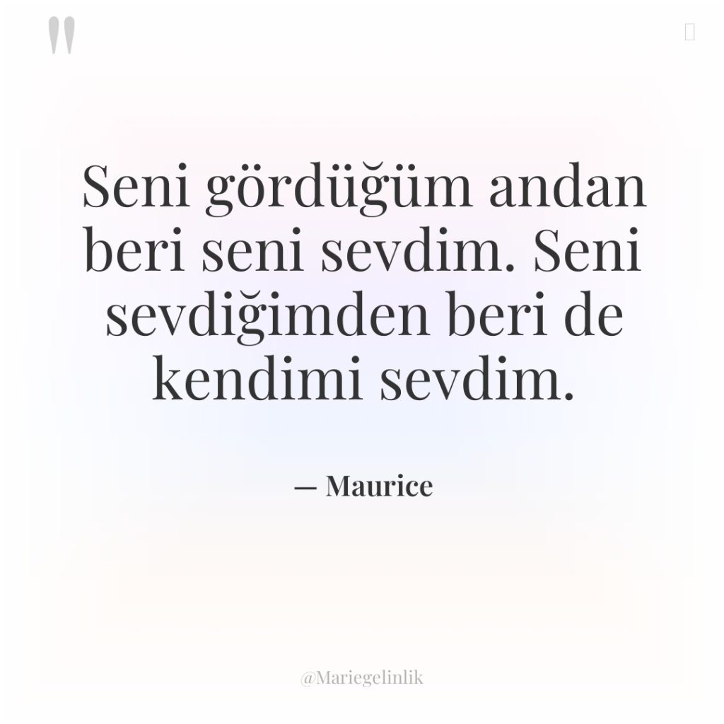 Seni gördüğüm andan beri seni sevdim. Seni sevdiğimden beri de…