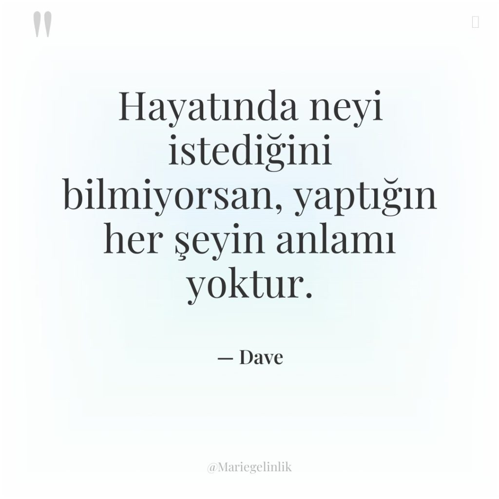 Hayatında neyi istediğini bilmiyorsan, yaptığın her şeyin anlamı yoktur.