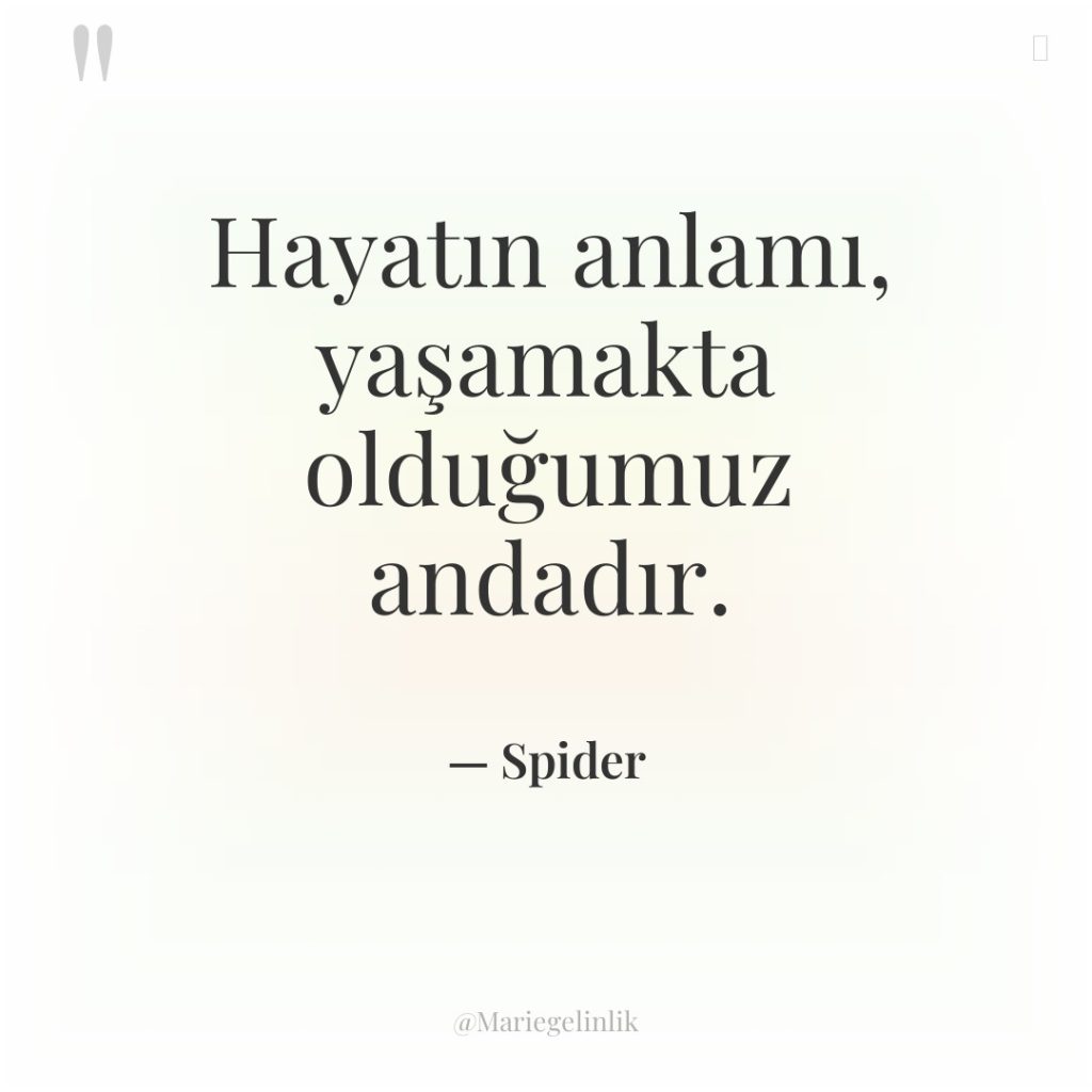 Hayatın anlamı, yaşamakta olduğumuz andadır.