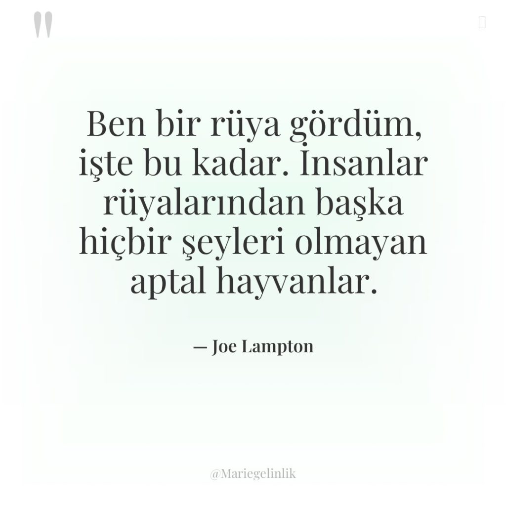 Ben bir rüya gördüm, işte bu kadar. İnsanlar rüyalarından başka…