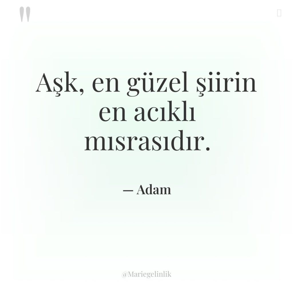 Aşk, en güzel şiirin en acıklı mısrasıdır.