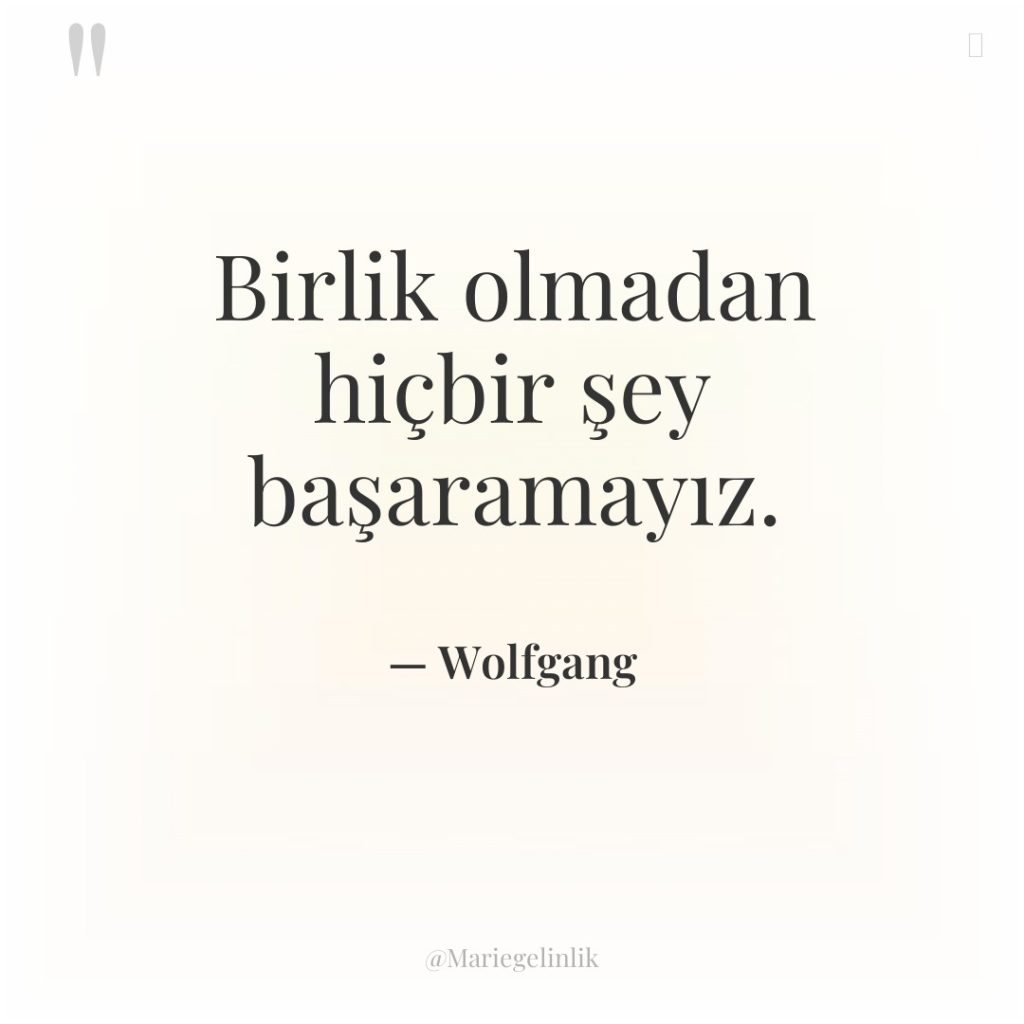 Birlik olmadan hiçbir şey başaramayız.