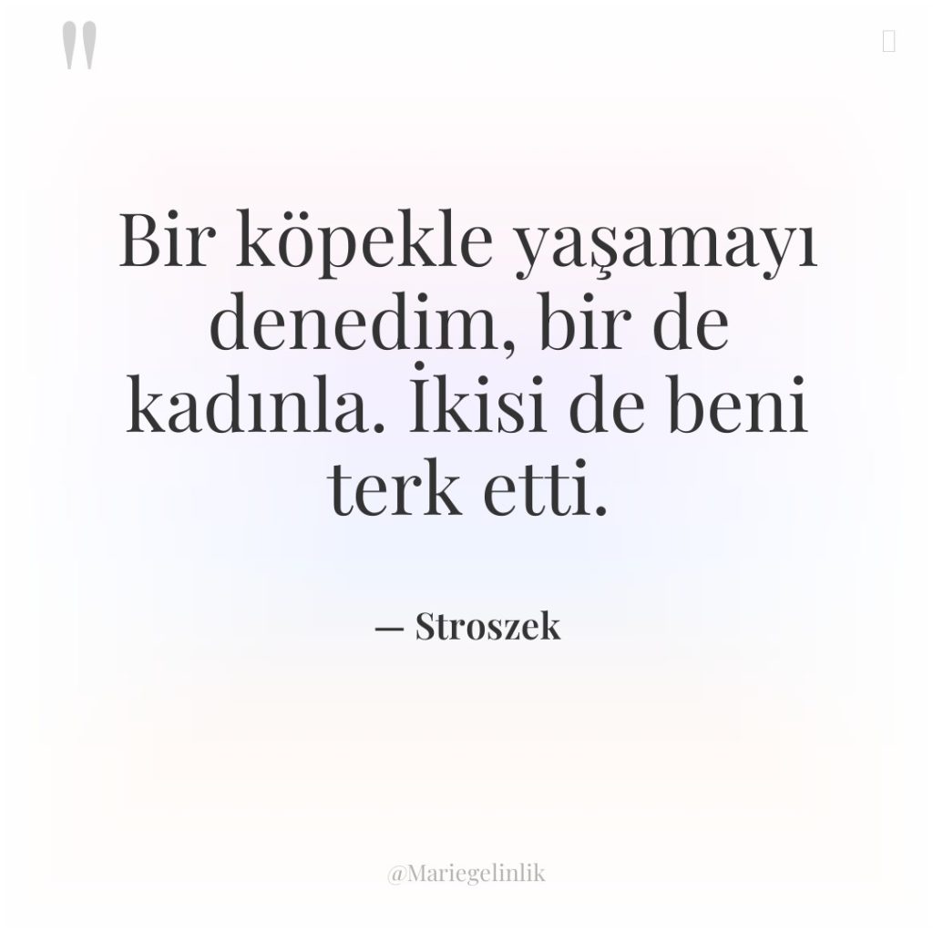 Bir köpekle yaşamayı denedim, bir de kadınla. İkisi de beni…
