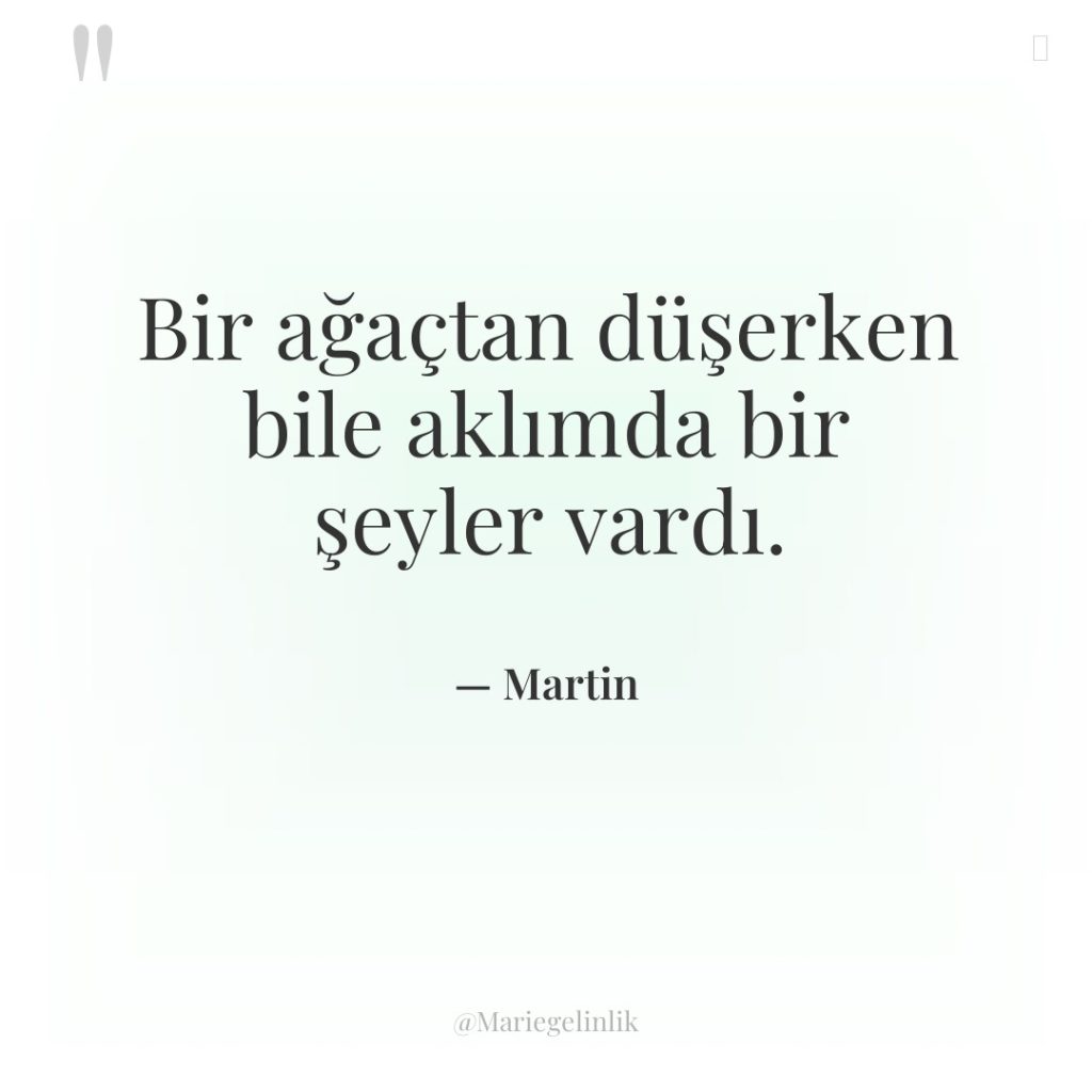 Bir ağaçtan düşerken bile aklımda bir şeyler vardı.