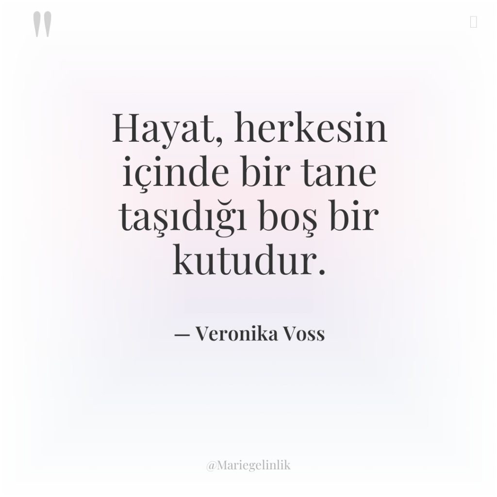 Hayat, herkesin içinde bir tane taşıdığı boş bir kutudur.