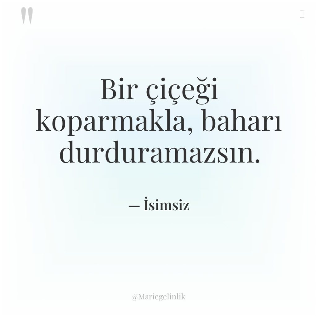 Bir çiçeği koparmakla, baharı durduramazsın.