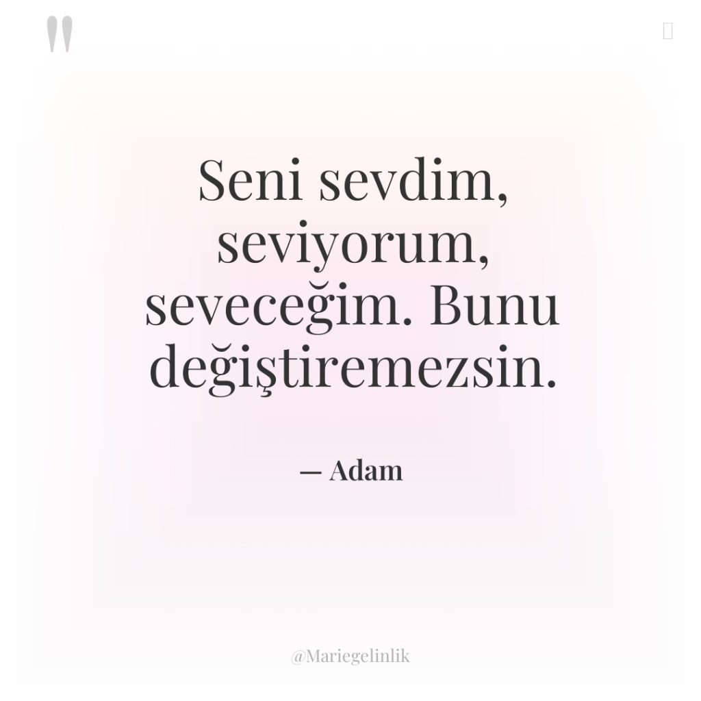 Seni sevdim, seviyorum, seveceğim. Bunu değiştiremezsin.