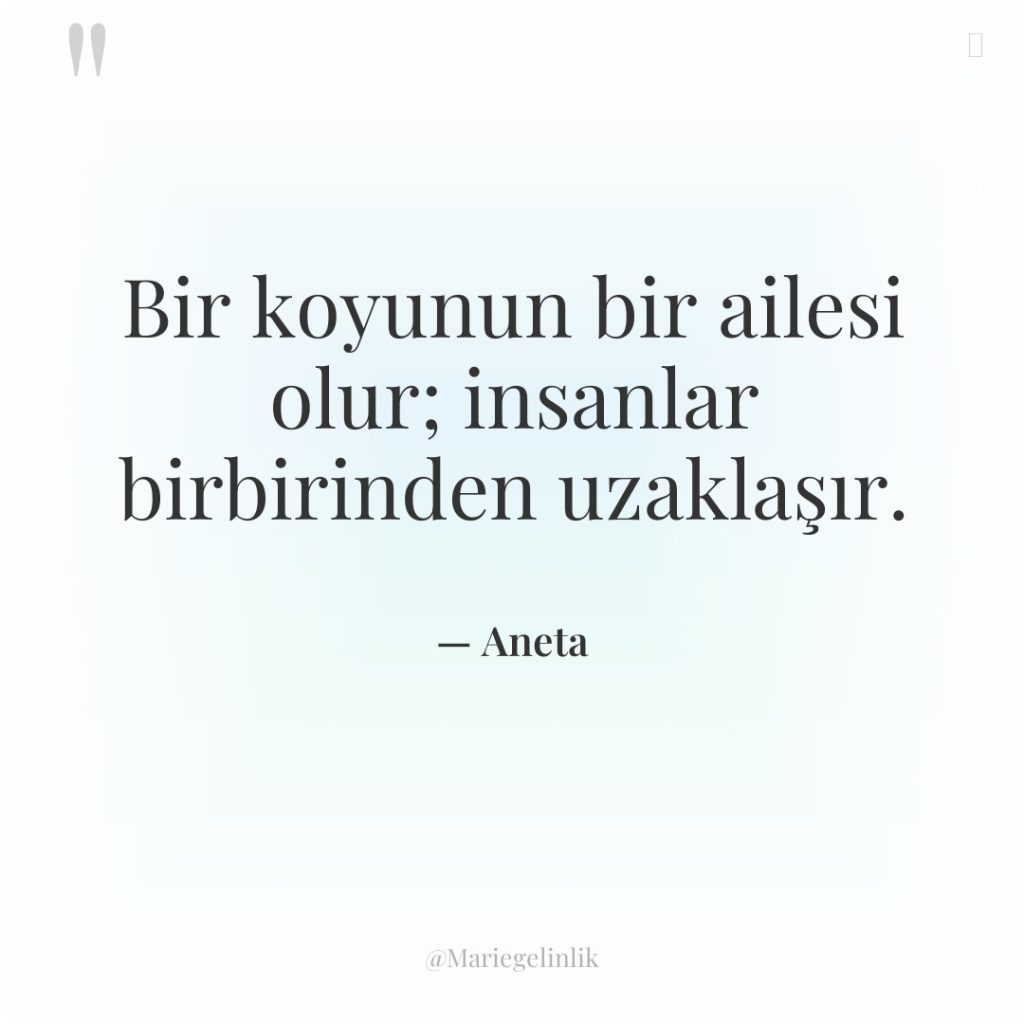 Bir koyunun bir ailesi olur; insanlar birbirinden uzaklaşır.