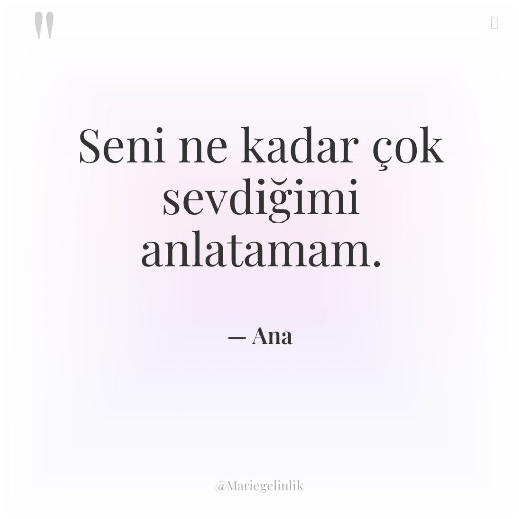 Seni ne kadar çok sevdiğimi anlatamam.